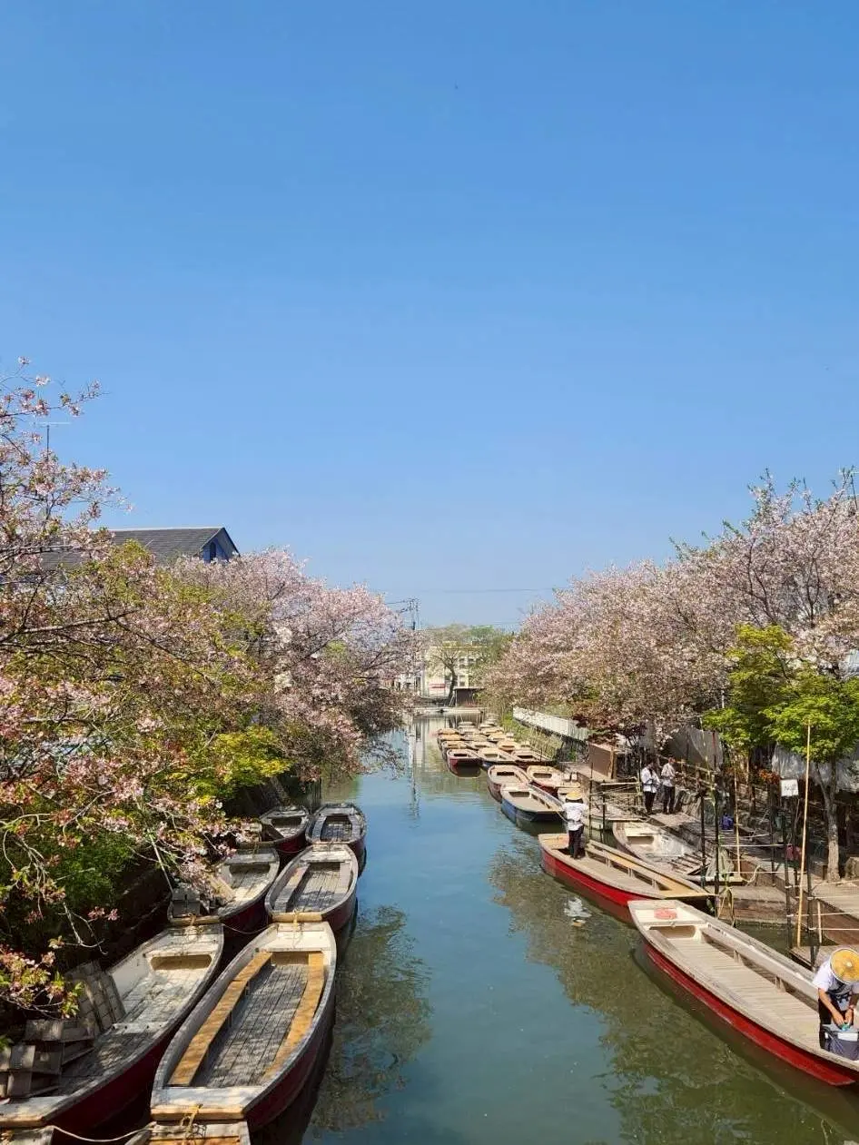 495222363 673817922065187 2033860604699888123 N