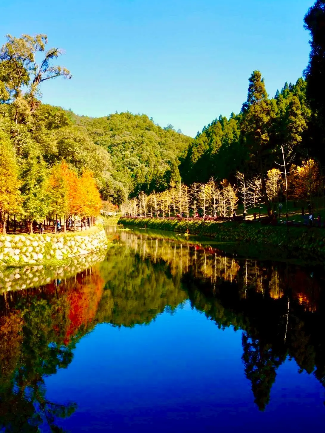 495465156 673945435385769 3998069766525899695 N